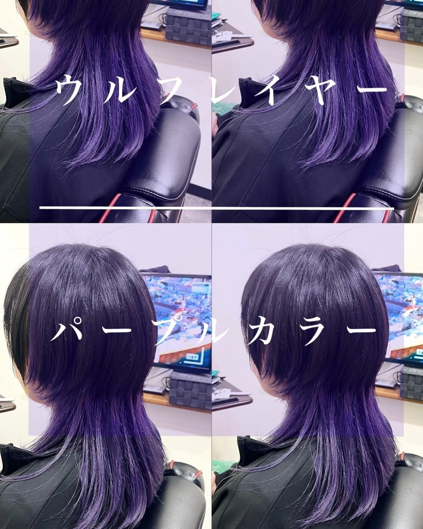 ウルフレイヤー×パープルカラー