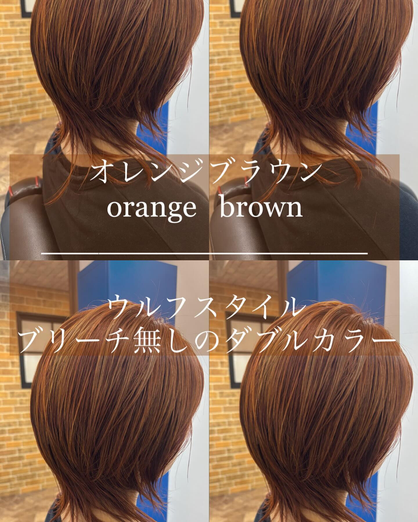 完全個室サロン Bellpo