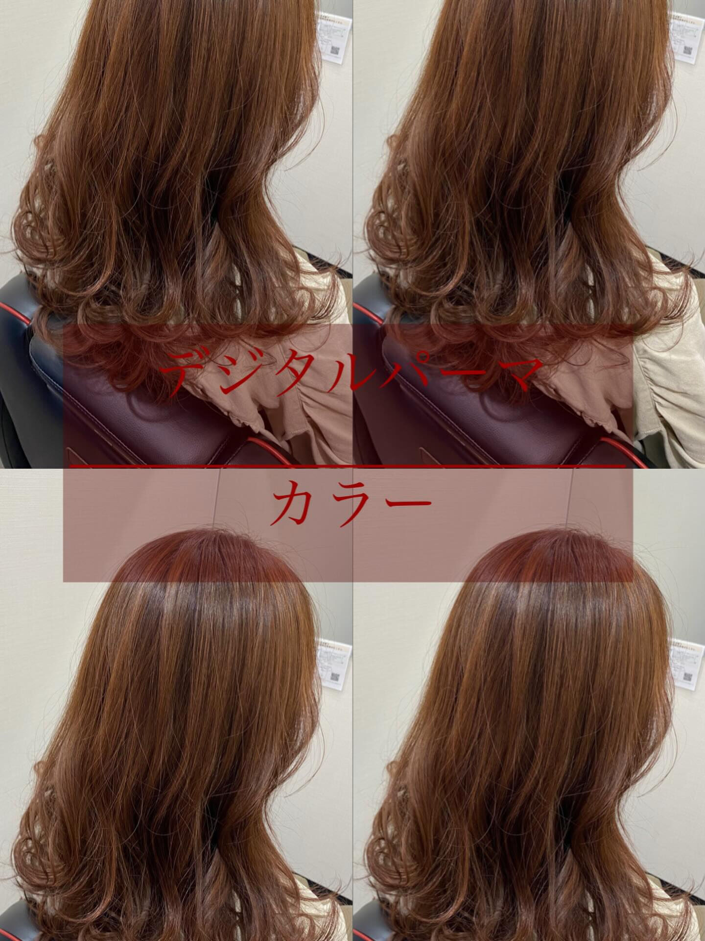 完全個室サロン Bellpo
